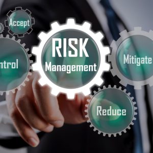 Concentration Risk in Business Finance